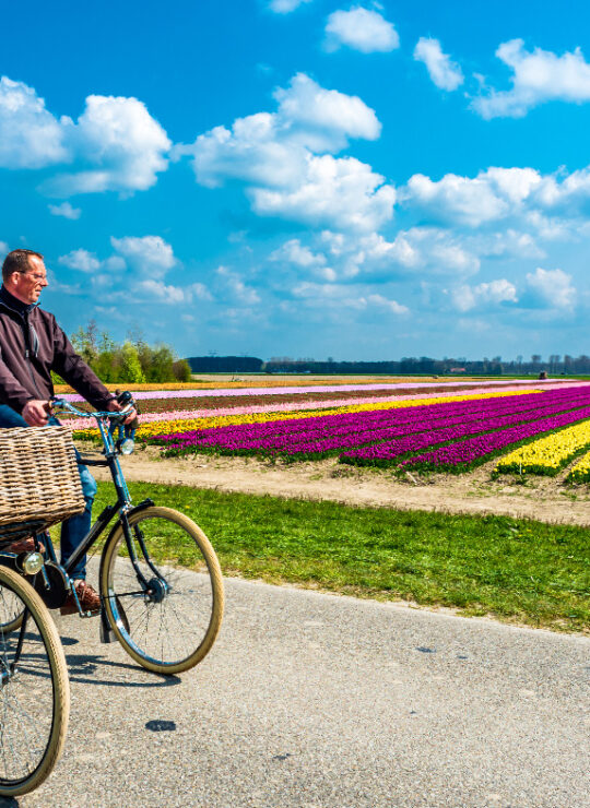 Flevoland